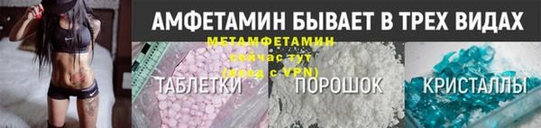 сатива Аркадак