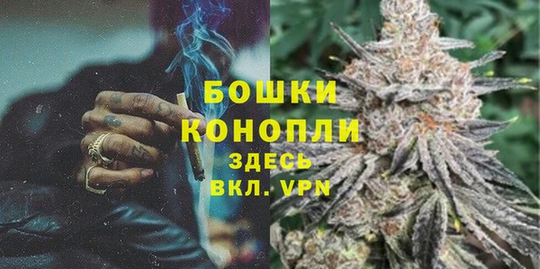 дурь Нягань