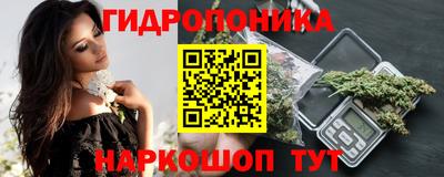 стаф Краснодар