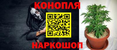 стаф Краснодар