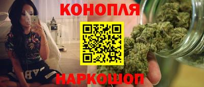 стаф Краснодар