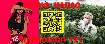 стаф Краснодар