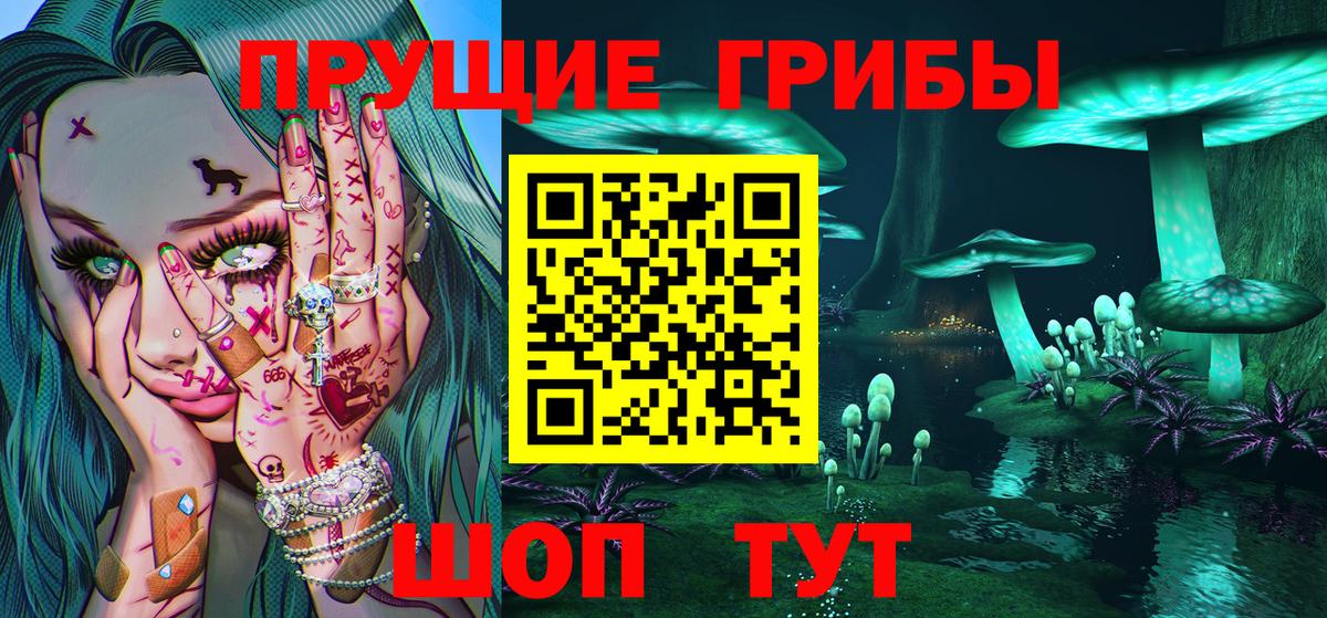 Чайковский  Псилоцибиновые грибы мухоморы  Вход с VPN 